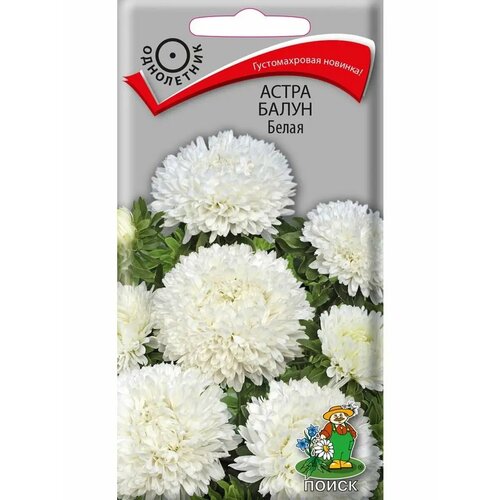 ������ ������ ����� 