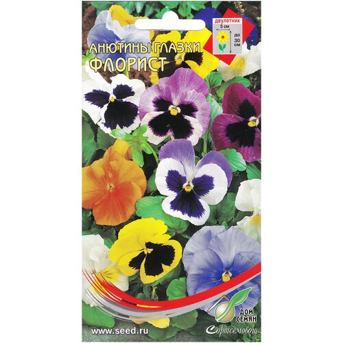 ������ ������ ������� ������ �������, 40 ����� ����