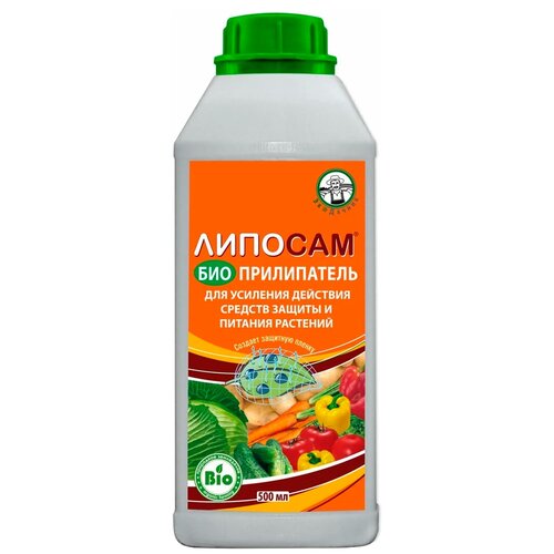 ������ ������ ��������� ������� ��������������, 500 ��, 500 � ����