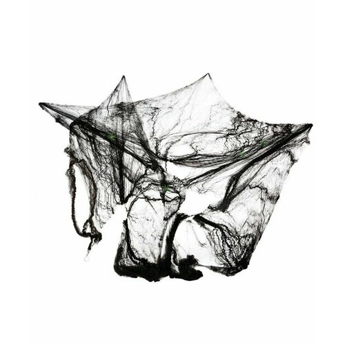 ������ ������ ������� ������ ����