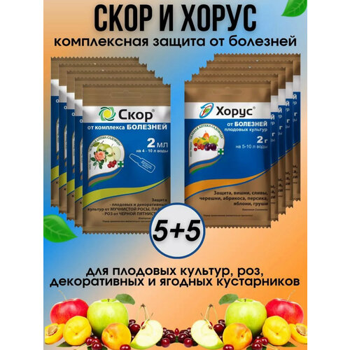 ������ ������ ����� ������� ��� ������ �������� ����� � ���� 10 �� ����