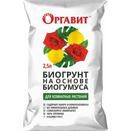 ������ ������ �������� ������� �������� ��������� �������� 2,5 � ����