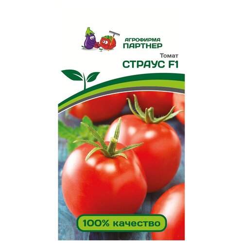 ������ ������ ������ ������ 