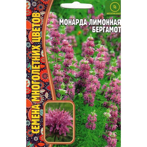 ������ ������ ������� �������� ��������, ����������� ( 1��: 100 ����� ) ����