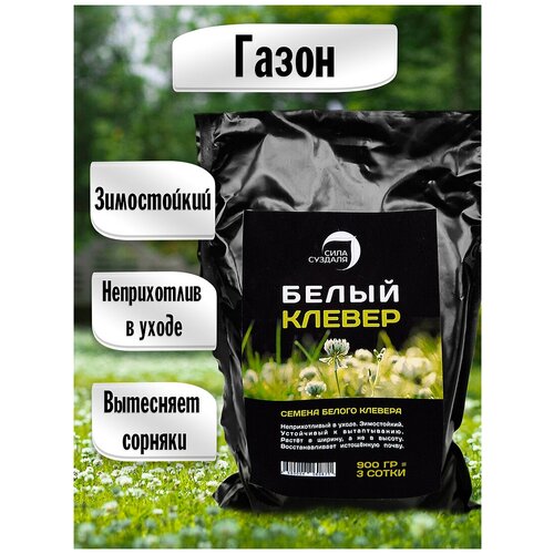 ������ ������ ����� ������ ����