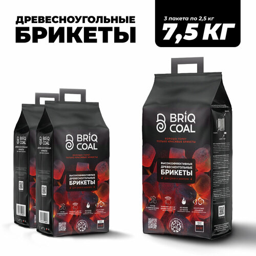 ������ ������ 3 �������� BriqPACK �� 2.5 �� - ����������������� ���������������� ������� BRIQCOAL ����