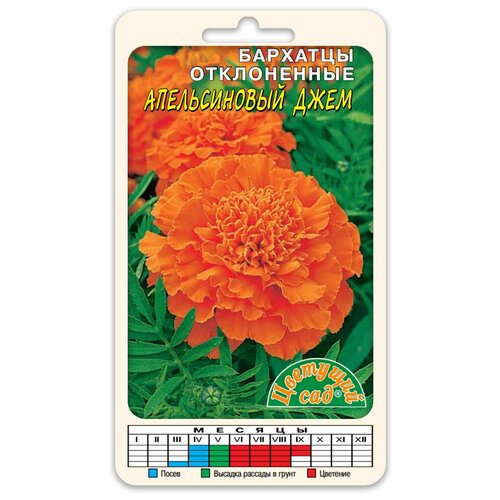 ������ ������ ����� �������� ������������ ���� (������ �������� ��� 0,1 �) ����