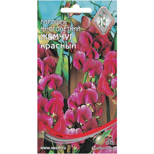 ������ ������ ������� ����������� �������� ������, �������, 9 ����� ����