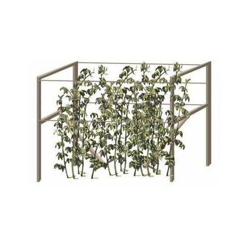 ������ ������ ����� ��� ������ ������� ������ ����