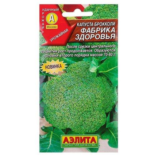 ������ ������ ������. ������� �������� 