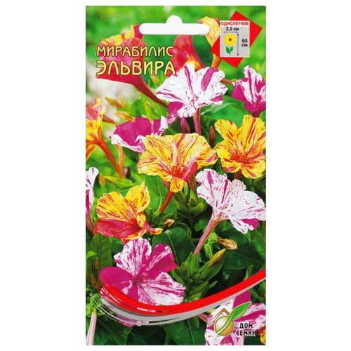 ������ ������ ��������� �������, 7 ����� ����