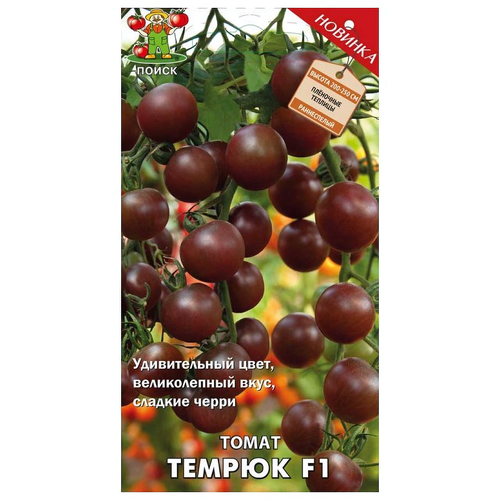 ������ ������ ������ ����� ����� ������ F1 12 ��. ����