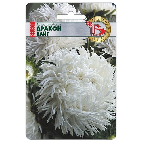 ������ ������ ����� ������ ���� ����