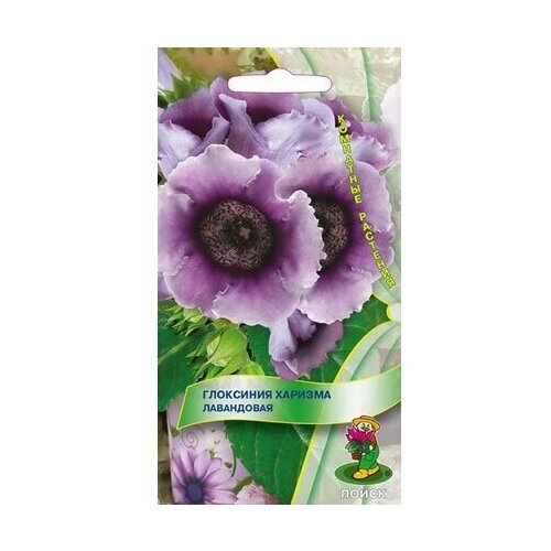 ������ ������ ������ ��������� ����� ������� ���������� 5 �� ����