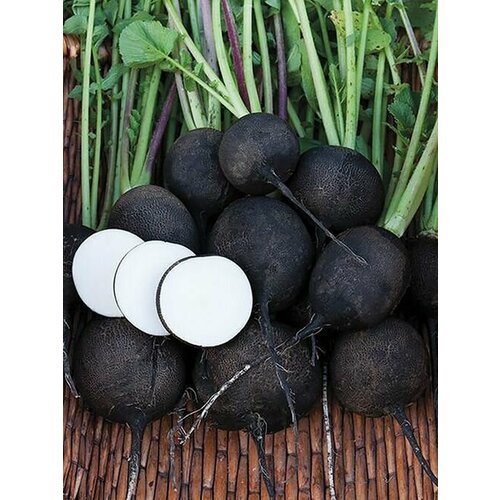 ������ ������ ������ ������ ������ ������� ������ ����