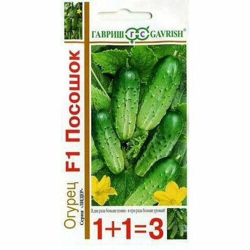 ������ ������ ������ ������ ������� F1 ��, �����������, (������) 20�� ���1+1 ����