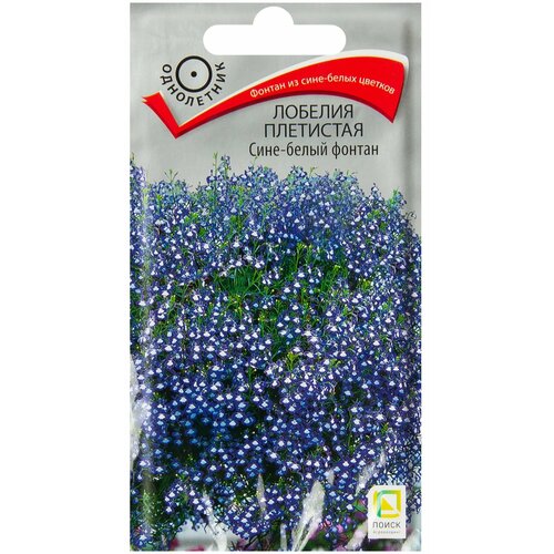 ������ ������ ������ ����� ������� ��������� ������, 0.1 � ����