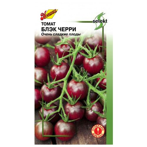 ������ ������ ����� ���� �����, 15 ����� ����