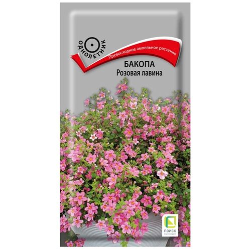 ������ ������ ������ ������ ������� ������ 5�� (� �����) ����