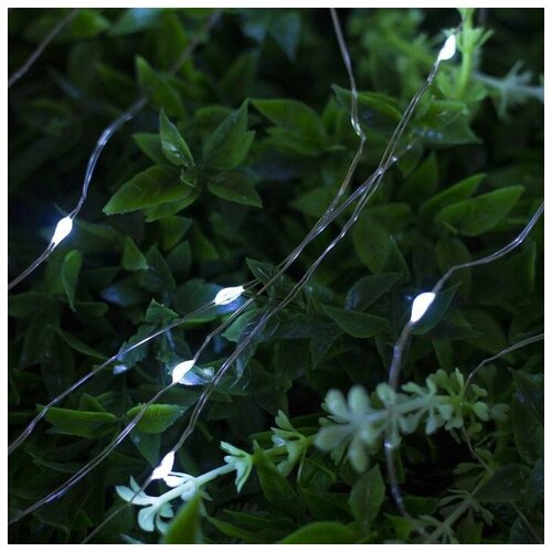 ������ ������ �������� ���� 20 � ����, IP44 ����������� ����, 200 LED, �������� �����, 2 ������, ��������� ������� ����