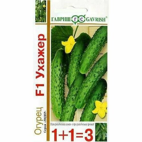 ������ ������ ������ ������ ������ F1, ������������, (������) 20�� ���1+1 ����