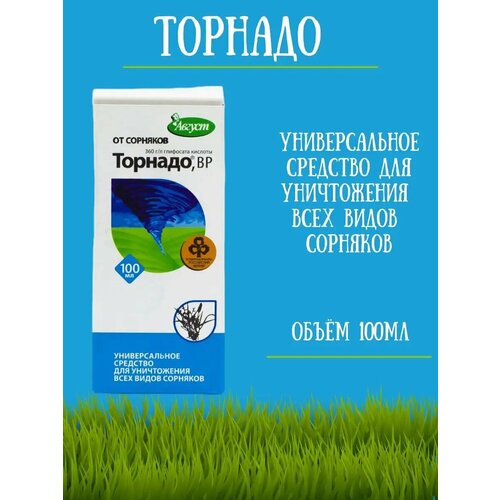 ������ ������ �������� �� �������� ������� 100 �� ����