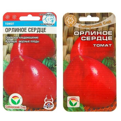 ������ ������ ������ ����� 