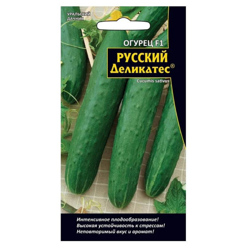 ������ ������ ������ ������ 