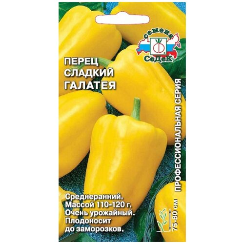 ������ ������ ������ ����� ������� ����