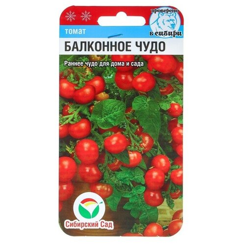 ������ ������ ����� ��������� ���� 2 ������ �� 20�� ����� ����