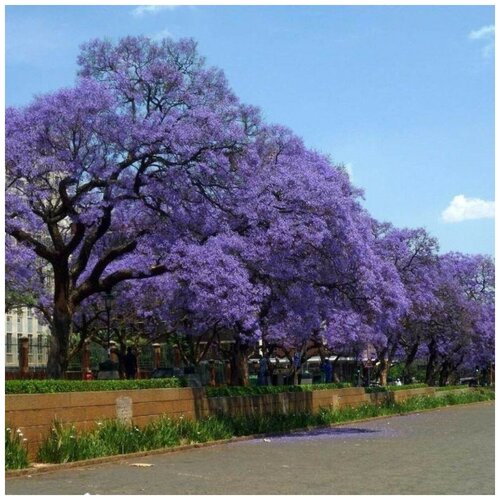 ������ ������ ������ ������ ��������� ��������� 200 ��. ����