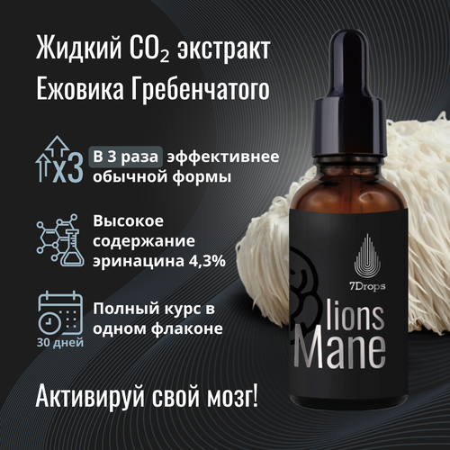 ������ ������ ������ �������� ������� ������������ ����