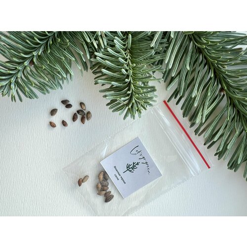 ������ ������ ������ �������� ������ ����� ����