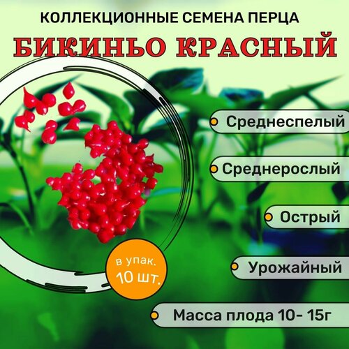 ������ ������ ������������� ������ ����� ������� ������� ������� ����