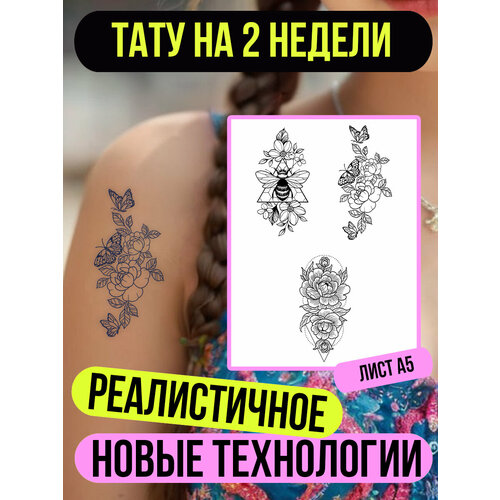 ������ ������ ���� ���������� �������������� �������� ����