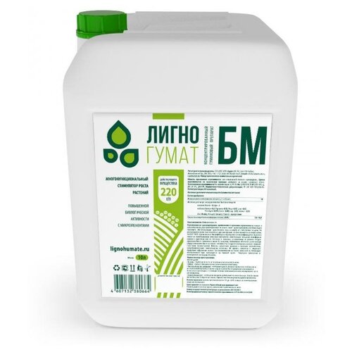 ������ ������ ��������� ������-����������� ���������� �������� ����� �� (5 �) ����