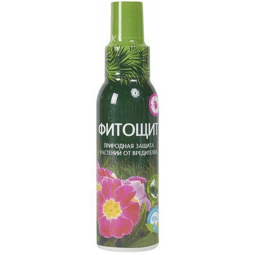 ������ ������ ��������� ����� �� ���������� �������, 100 ��, 100 � ����