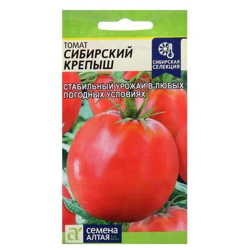 ������ ������ ������ ����� 