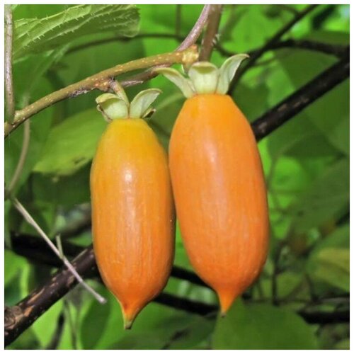 ������ ������ ������ ������ ��������� ������������ 20 ��. ����