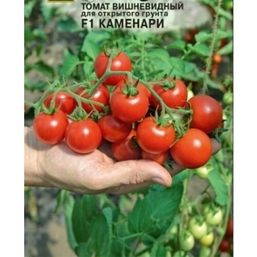 ������ ������ ������ ����� �������� F1 10 ��. ����