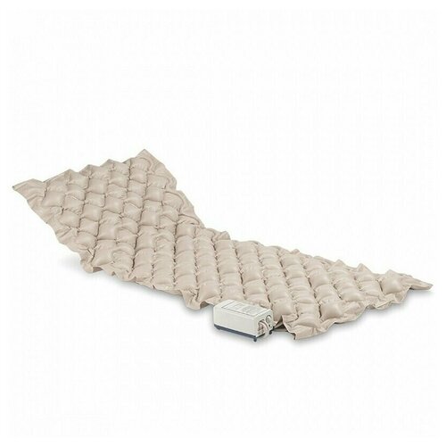 ������ ������ ������������������ ������ �������� � ������������ Orthoforma M-0007 ����