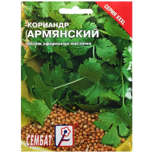 ������ ������ ������ ���L �������� 