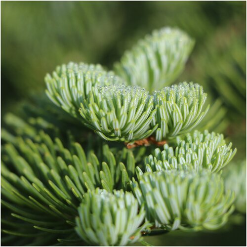 ������ ������ ������ ������ ����� �������������� 10 ��. ����