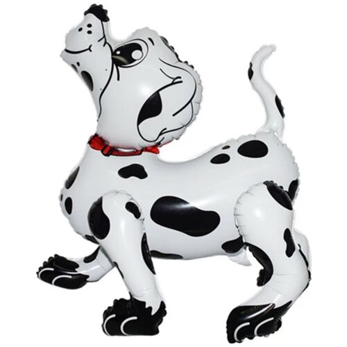 ������ ������ ��� (22''/56 ��) ������� ������, ������ ����������, 1 ��. � ����. ����