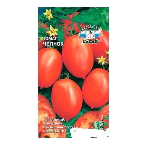 ������ ������ ����� ������ ����