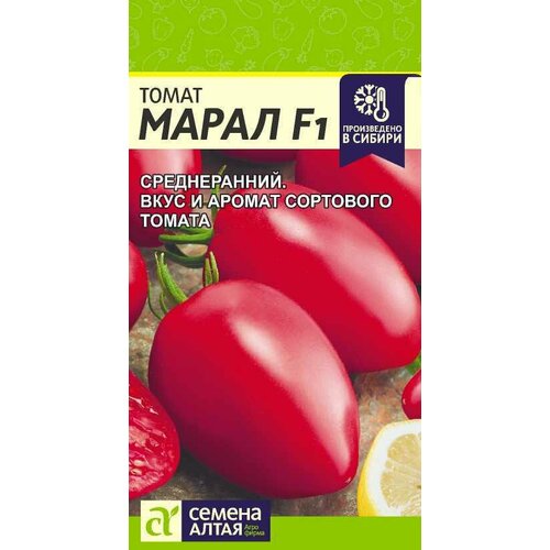 ������ ������ ������ ����� ����� F1 10�� ����� ������ (������ �����) ����