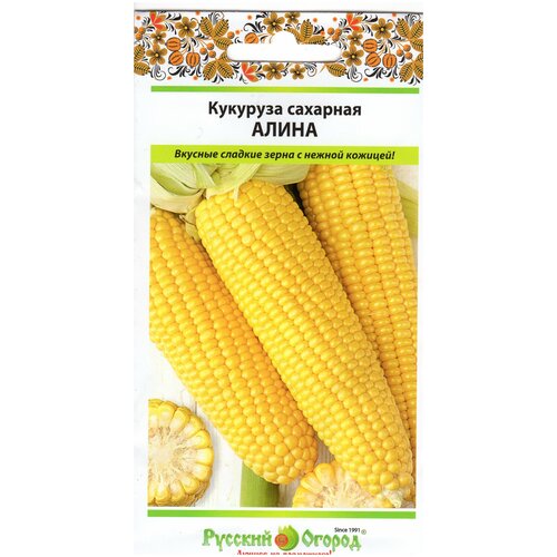 ������ ������ �������� �������� ����� 4� ����� (1 �����) ����