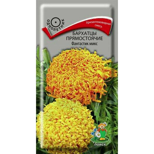 ������ ������ ������ ��������� ������������ ����� ��������� ���� 0,2 � ����