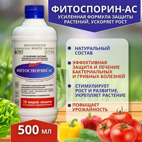 ������ ������ ���������� �� �� ������� �������� 500 �� ����