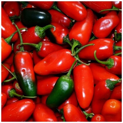 ������ ������ ������ ������ ����� ������ ��������� 10 ��. ����